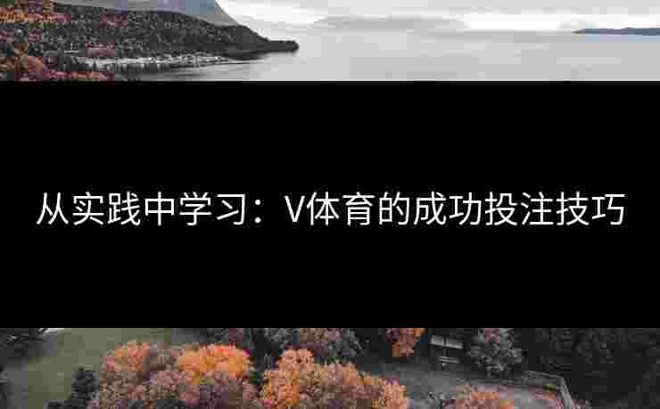 从实践中学习：V体育的成功投注技巧