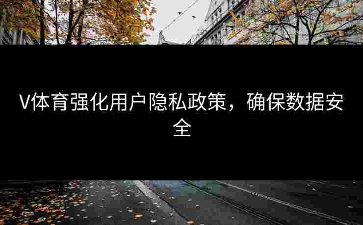 V体育强化用户隐私政策，确保数据安全